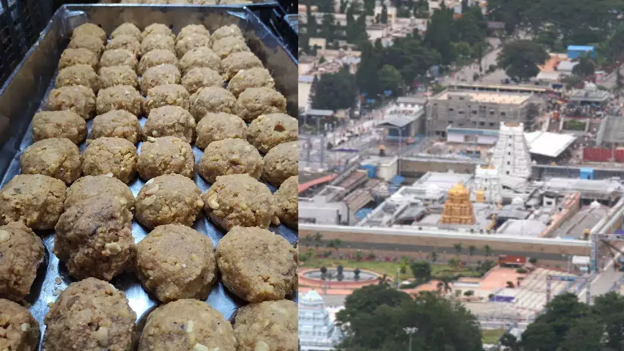 Ghee suppliers formed cartel to secure TTD contract TDP