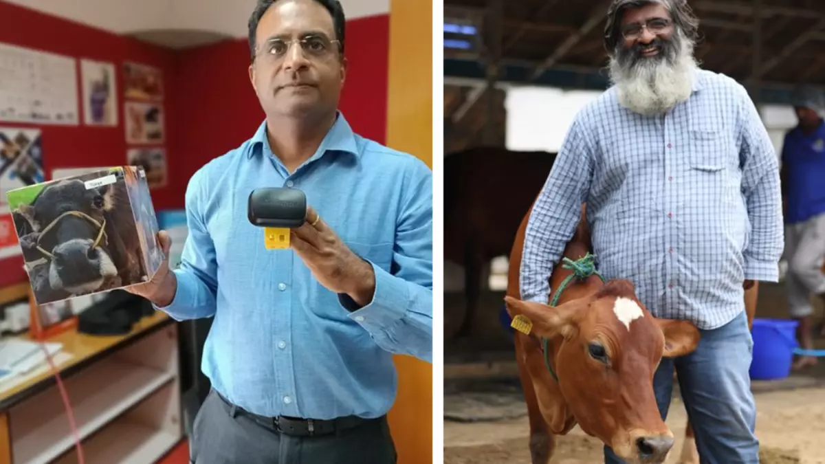 Dairy entry Looking for unicorns among livestock